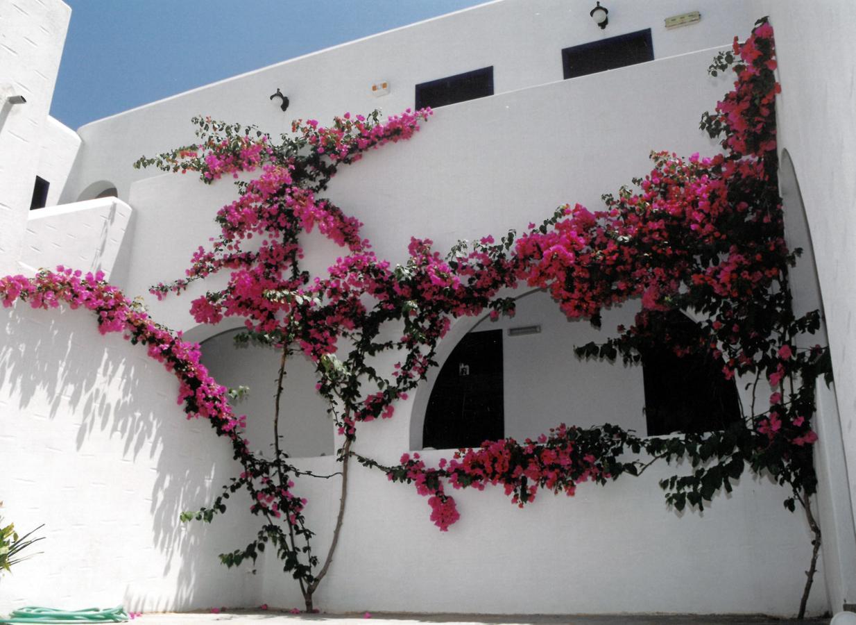 San Antonio Summer House Piso Livadi Exterior photo